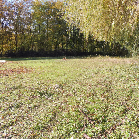 Terrain à BAVILLIERS