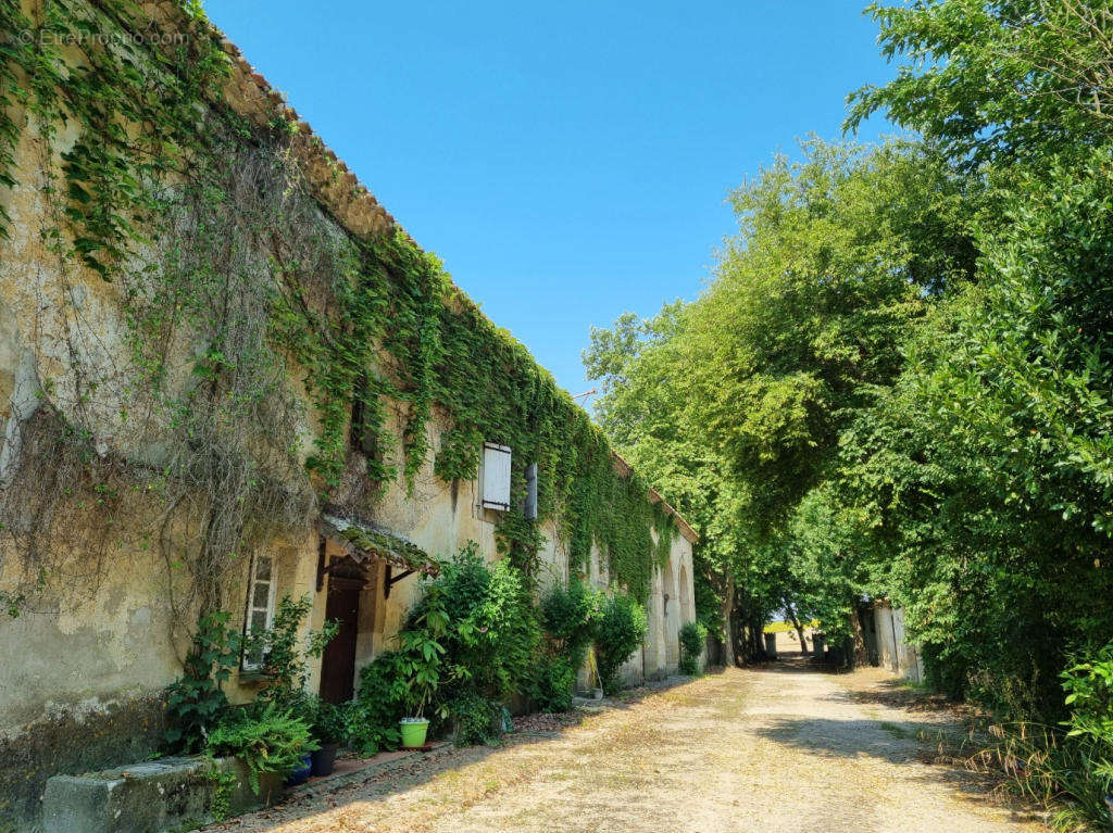 gites et dépendences - Maison à MAS-SAINTES-PUELLES