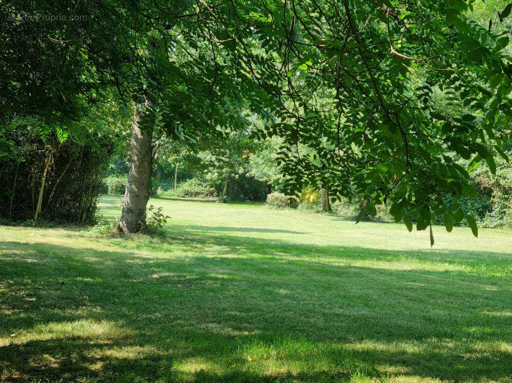 park - Maison à MAS-SAINTES-PUELLES