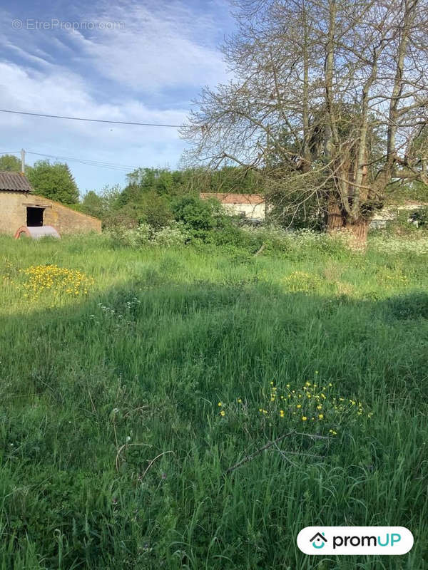 Terrain à NANTEUIL