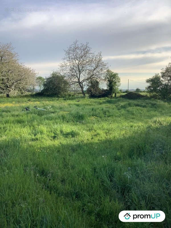 Terrain à NANTEUIL