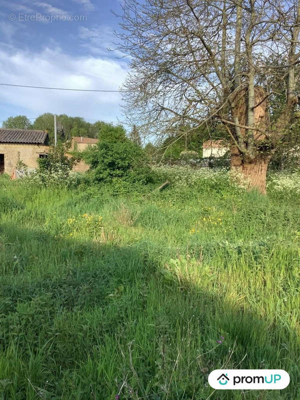 Terrain à NANTEUIL