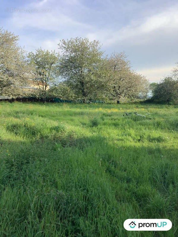 Terrain à NANTEUIL