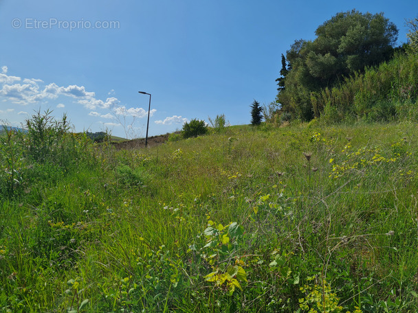 Terrain à LIMOUX