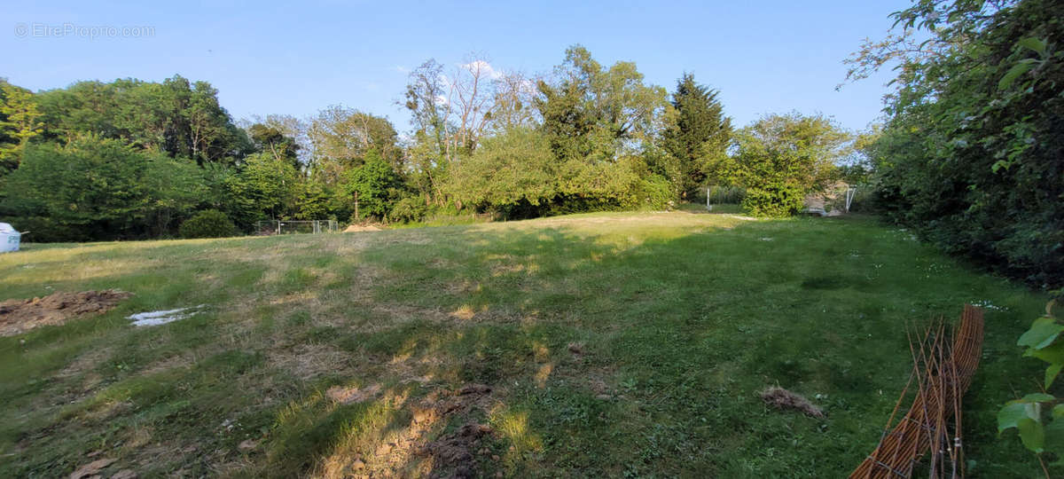 Terrain à SAULX-LES-CHARTREUX