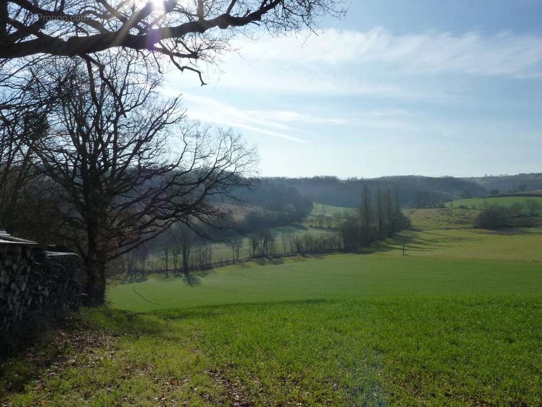 Terrain à CASTERA-VIGNOLES