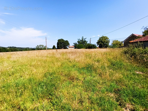 Terrain à ARZACQ-ARRAZIGUET