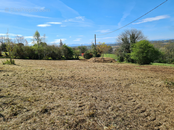 Terrain à ARZACQ-ARRAZIGUET