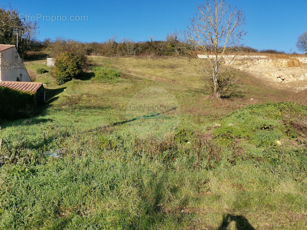 Terrain à FONTENAY-LE-COMTE