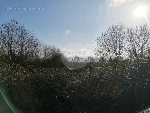 Terrain à FONTENAY-LE-COMTE