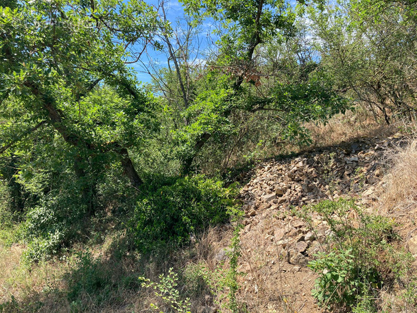 Terrain à AUZAT-LA-COMBELLE