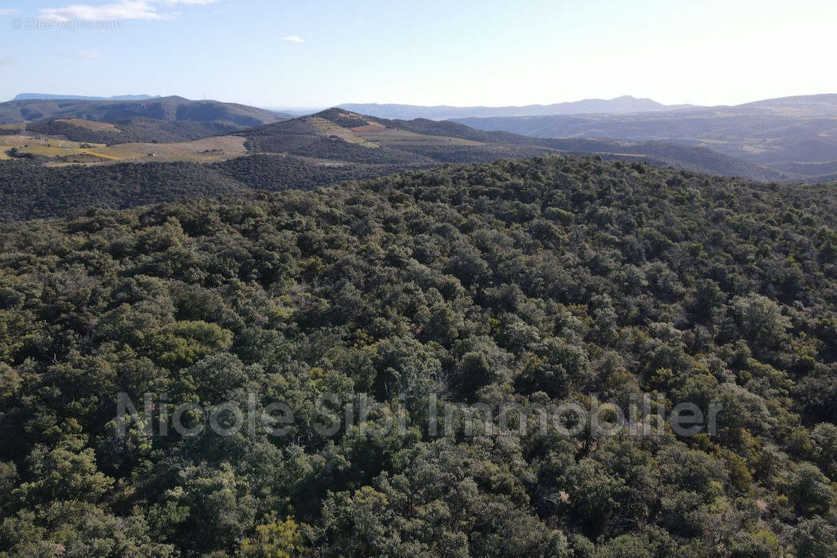 Terrain à RASIGUERES