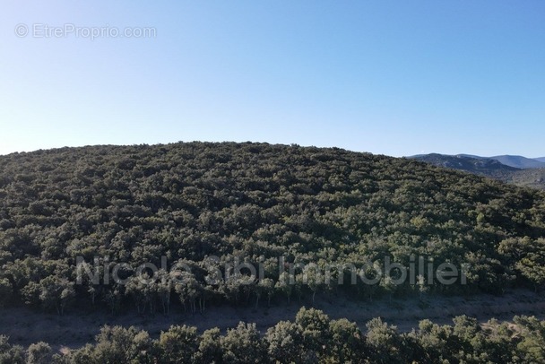 Terrain à RASIGUERES