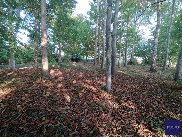 Terrain à PARIGNY