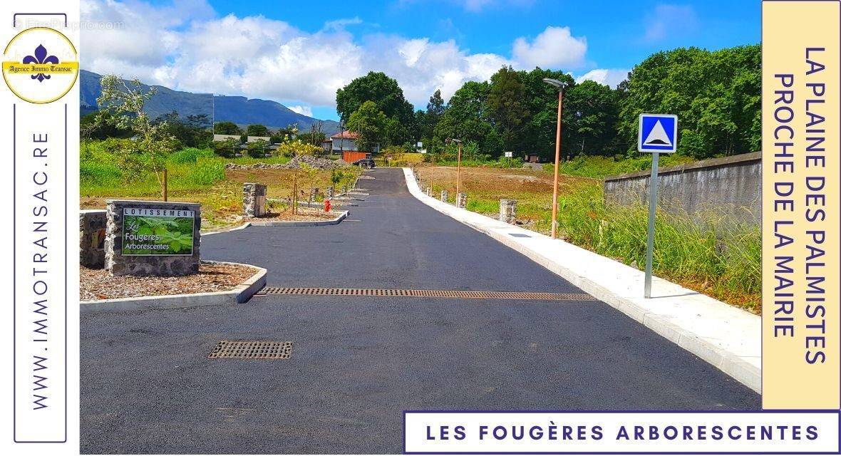 Terrain à LA PLAINE-DES-PALMISTES