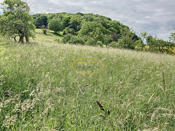 Terrain à SAINT-JULIEN-SOUS-LES-COTES