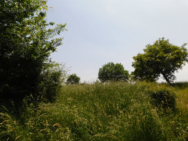 Terrain à GAUJAN