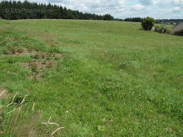 Terrain à SAINT-YRIEIX-LA-PERCHE