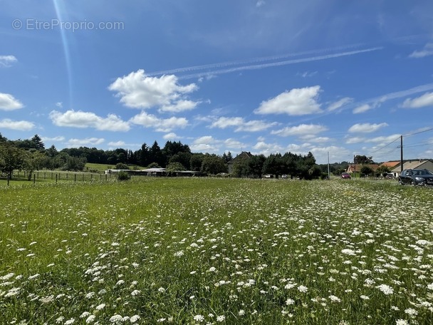 Terrain à SAINT-YRIEIX-LA-PERCHE