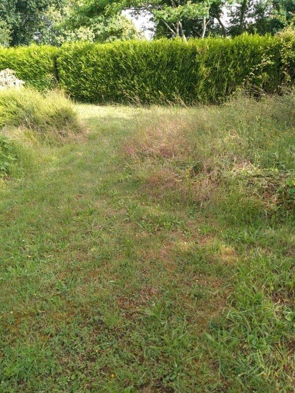 Terrain à LE TREVOUX