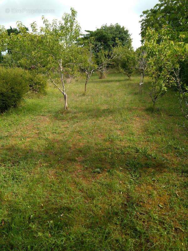 Terrain à LE TREVOUX