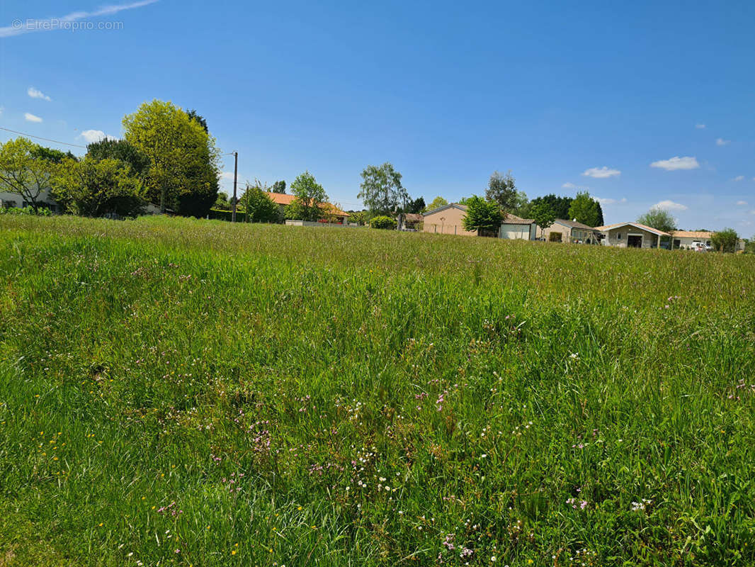 Terrain à MONTPON-MENESTEROL