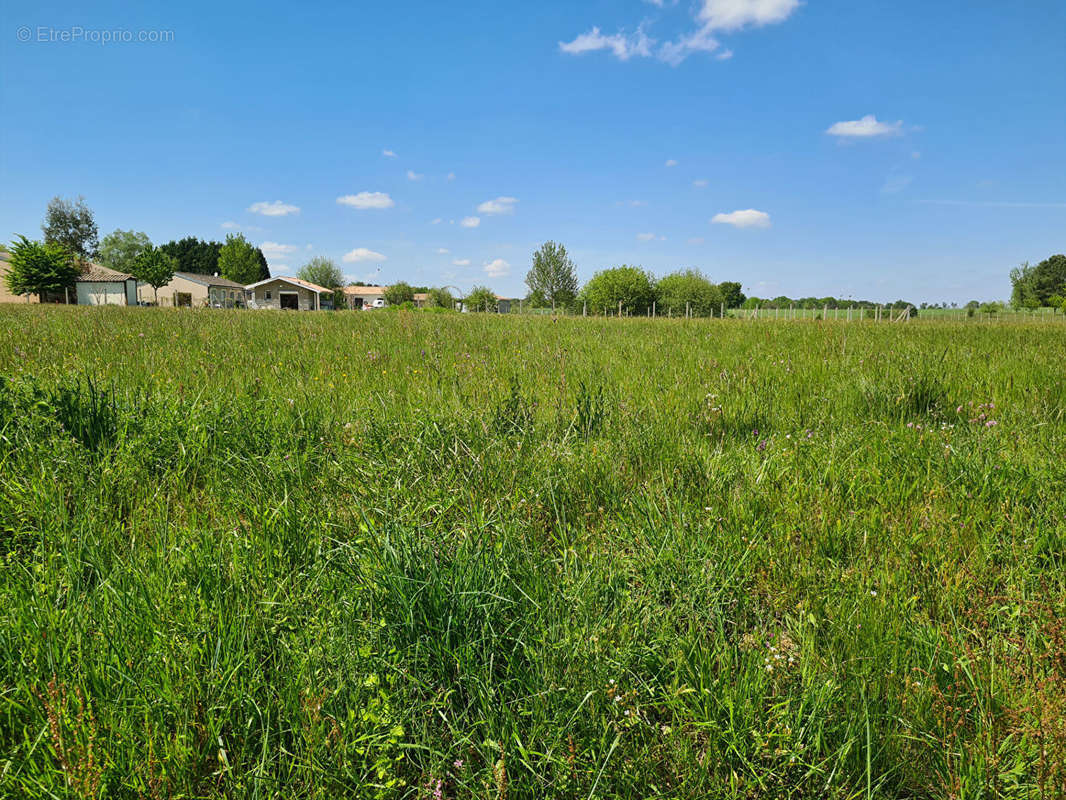 Terrain à MONTPON-MENESTEROL