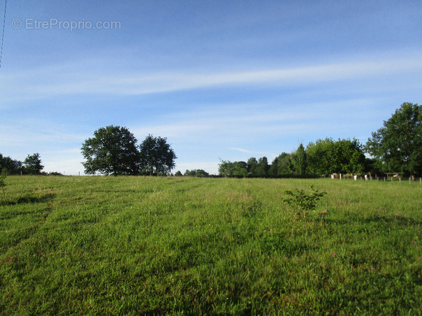 Terrain à MONTPON-MENESTEROL