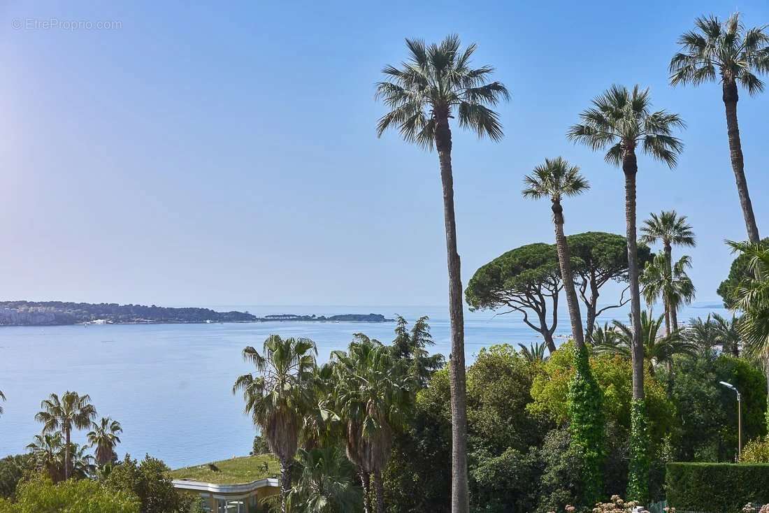 Maison à CANNES