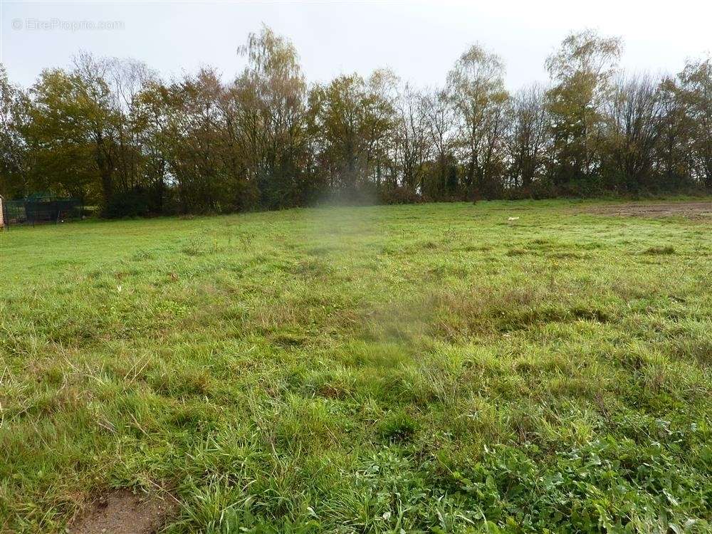 Terrain à MAYENNE