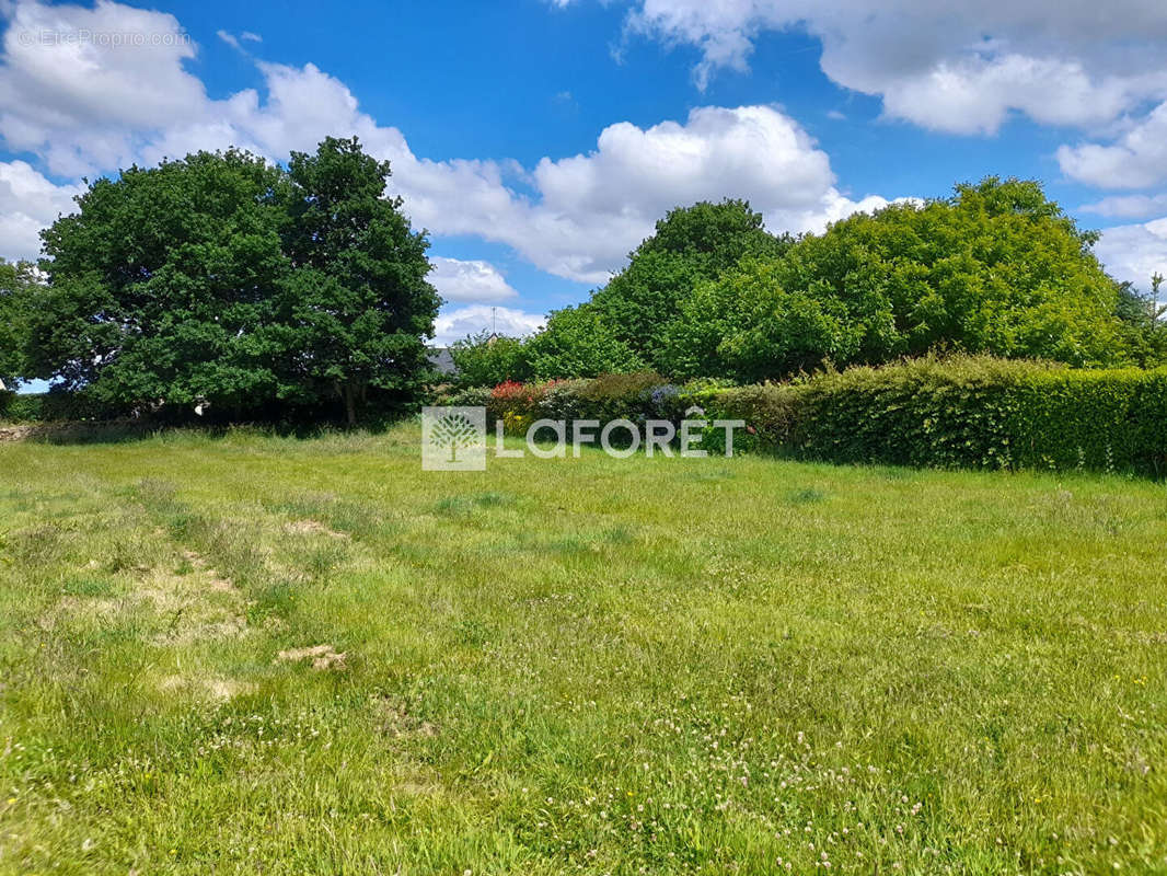 Terrain à GUINGAMP