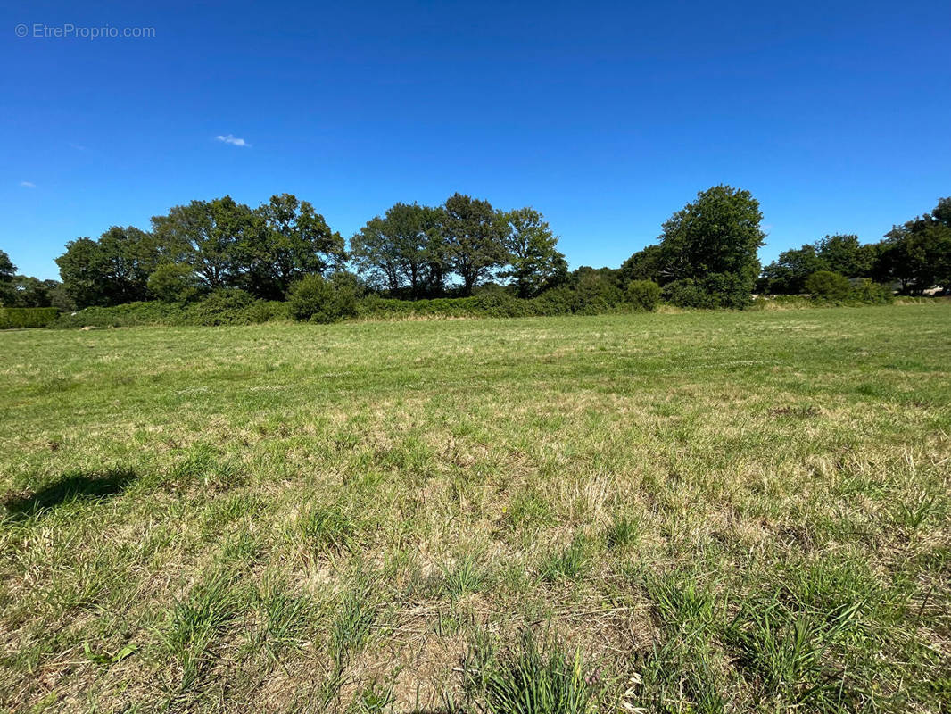 Terrain à REDON