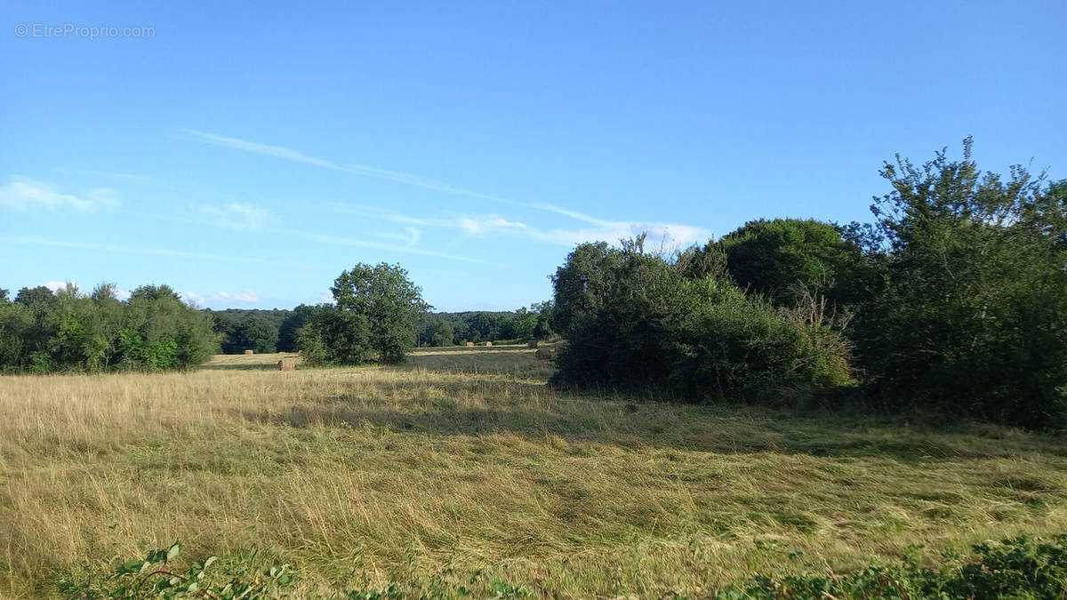 Terrain à MONTPON-MENESTEROL