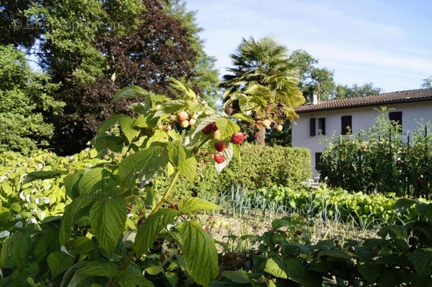 Maison à CROIGNON