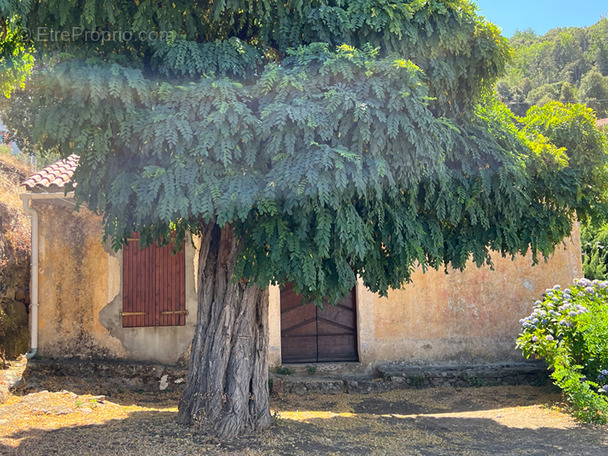 Maison à PIANA