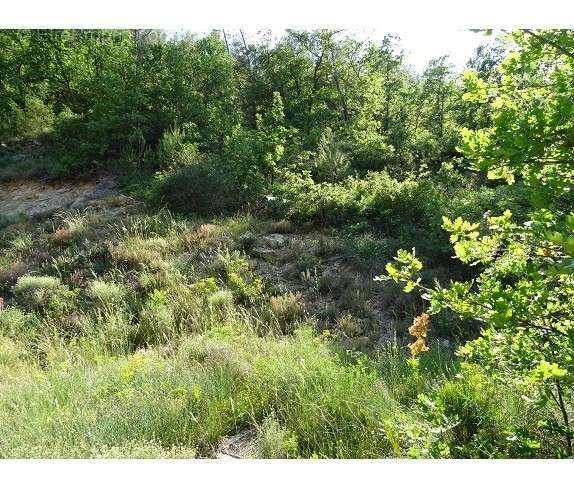 Terrain à VINS-SUR-CARAMY