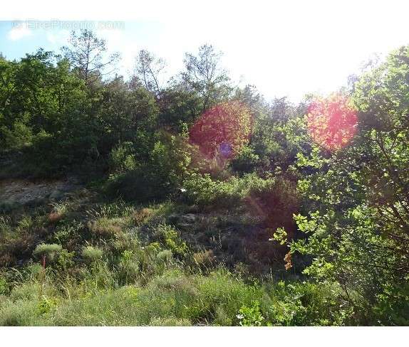 Terrain à VINS-SUR-CARAMY