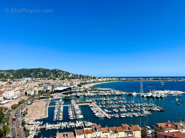 Commerce à CANNES