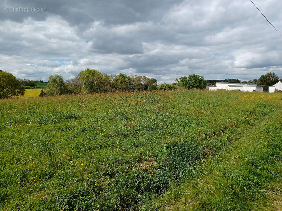 Terrain à SAINT-DOLAY