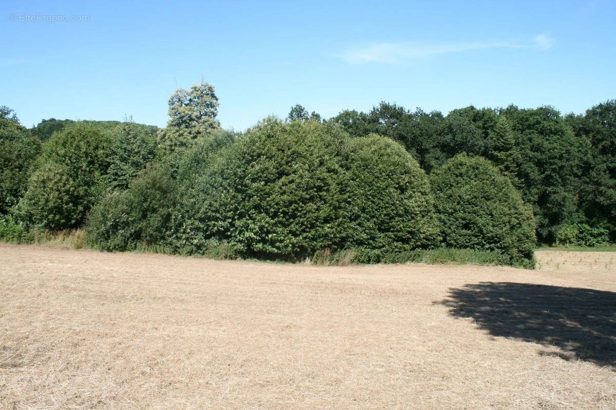 Terrain à JOSSELIN