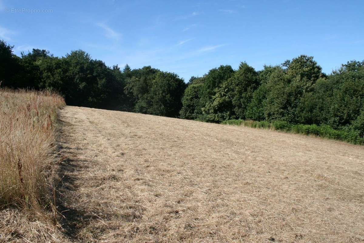 Terrain à JOSSELIN