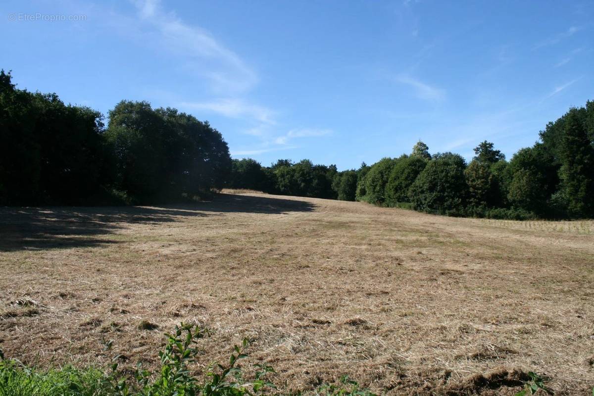 Terrain à JOSSELIN