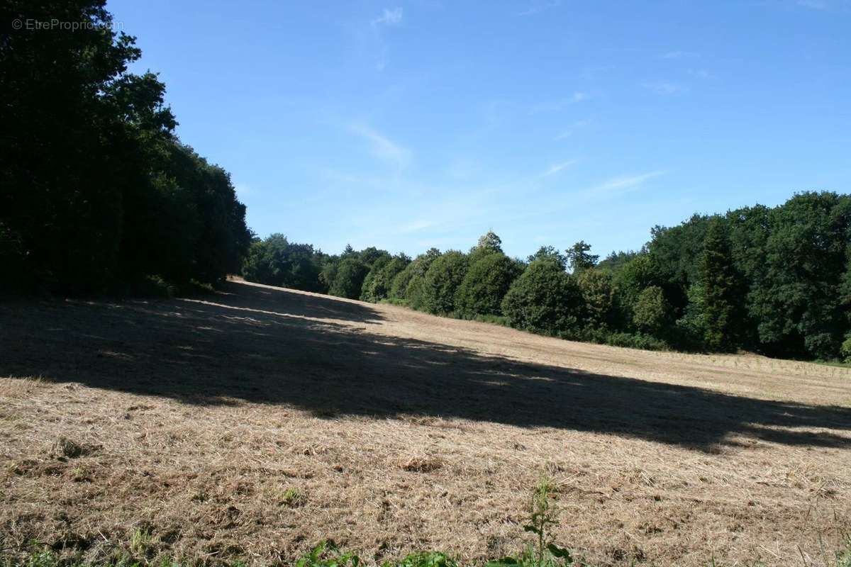 Terrain à JOSSELIN