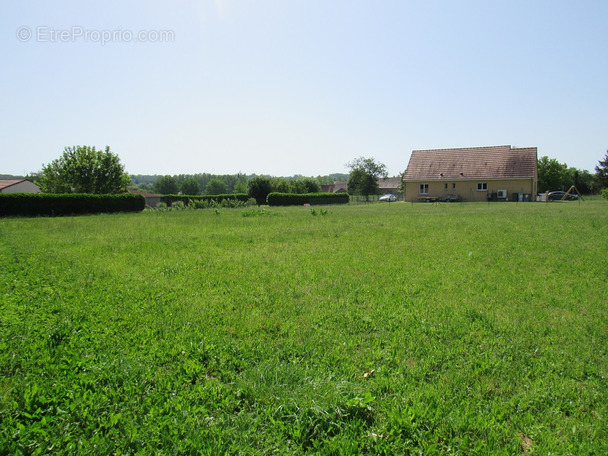 Terrain à SAINT-POURCAIN-SUR-SIOULE