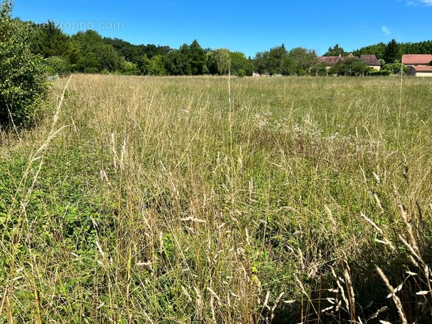 Terrain à LALINDE