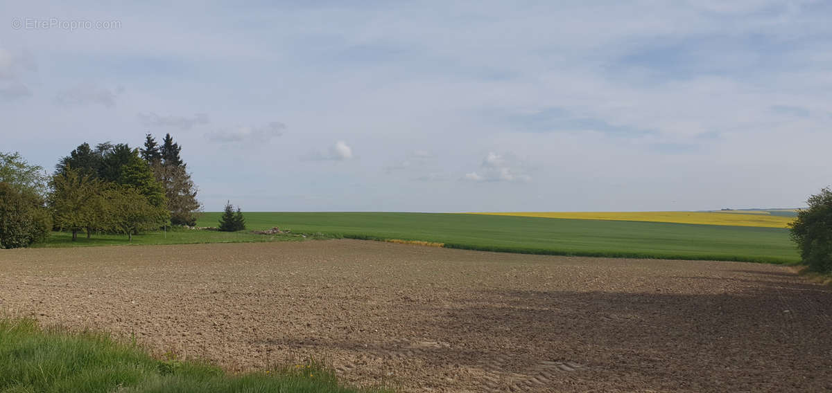 Terrain à FERE-EN-TARDENOIS