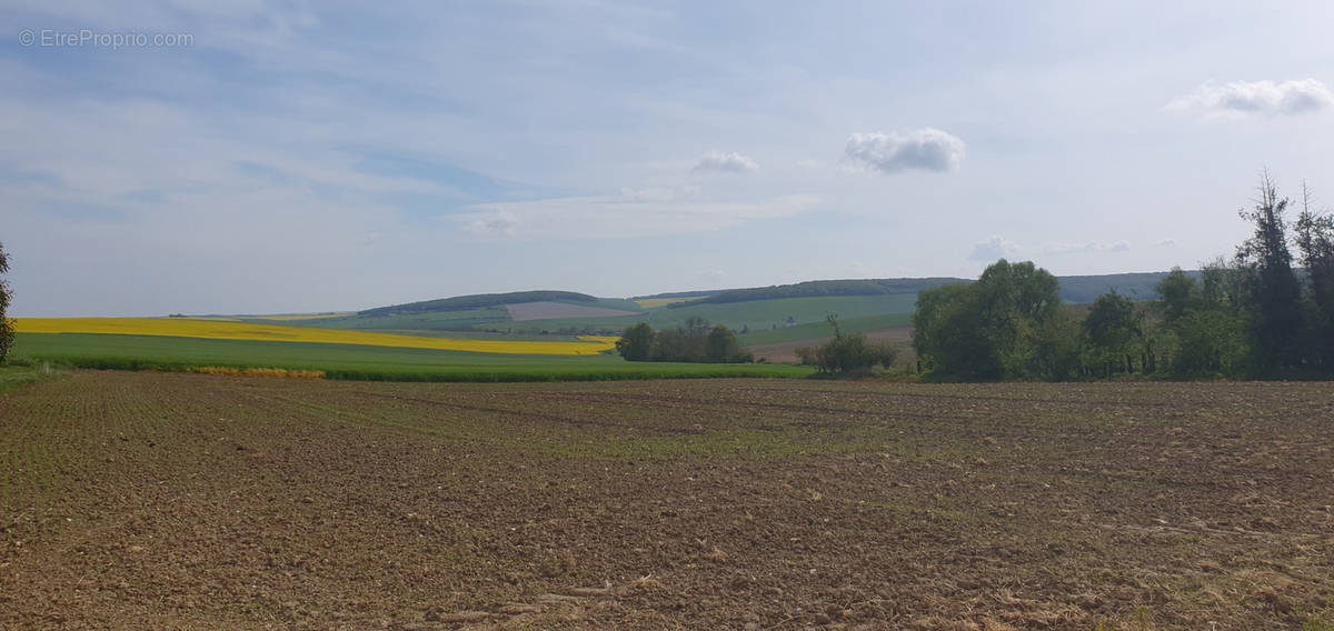 Terrain à FERE-EN-TARDENOIS