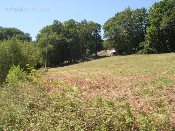 Terrain à MAUBOURGUET