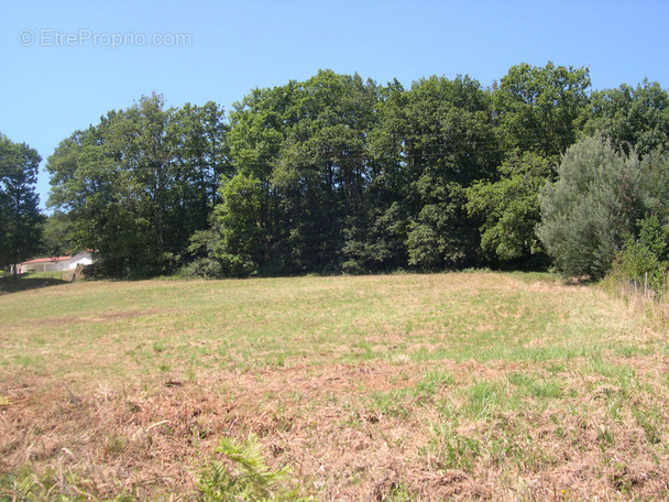 Terrain à MAUBOURGUET