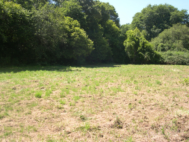 Terrain à MAUBOURGUET